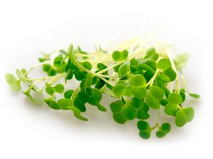 BroccoPhane®