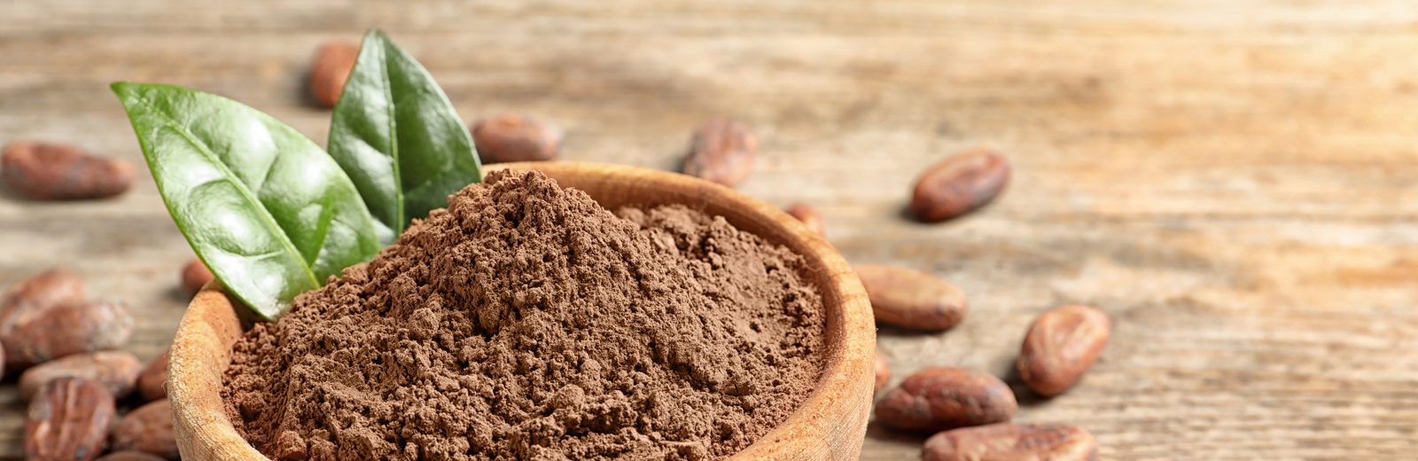 Understanding the Potential of Cocoa Flavanols as Functional