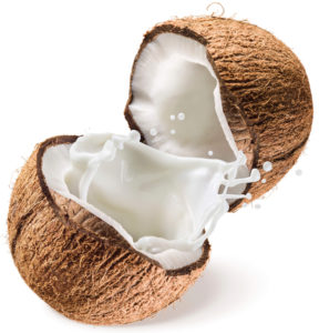 Coconut MCT Creamer