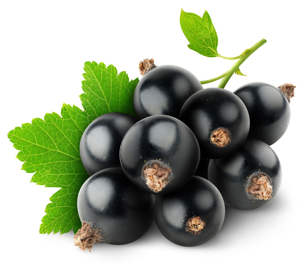 black_currants