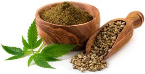 Hemp Protein Powder