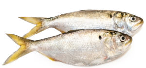 OmegaPure® Fish Oil