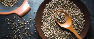 benefits of hemp seeds